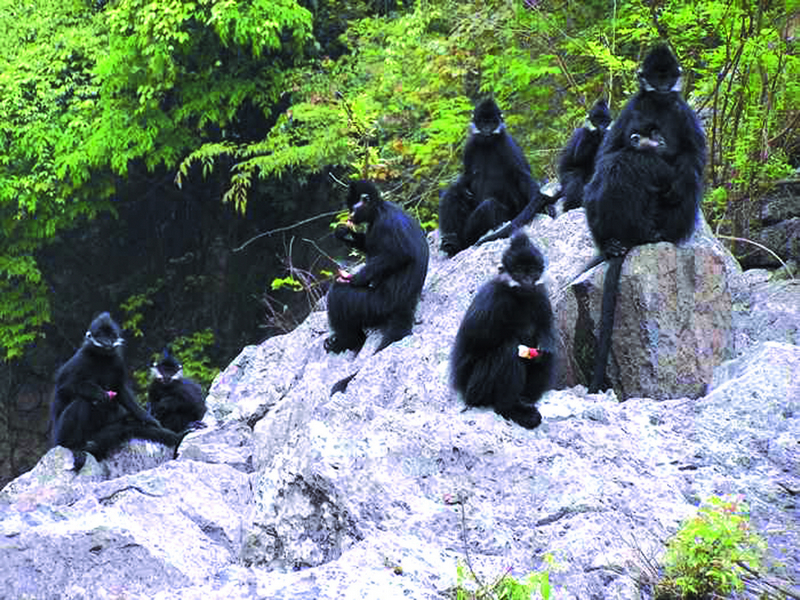 銅仁最美的10大景區(qū)：除了梵凈山之外，還有哪里值得一去？